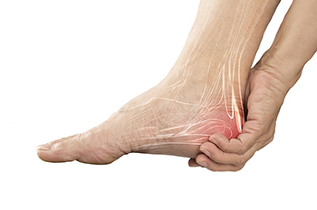 Risk Factors for Heel Pain